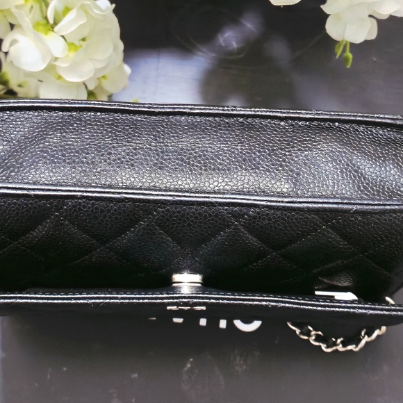 Chanel Quilted Caviar Leather Wallet On Chain - Picture 8 of 14